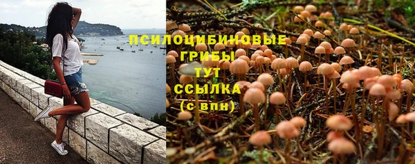 прущие крисы Абаза