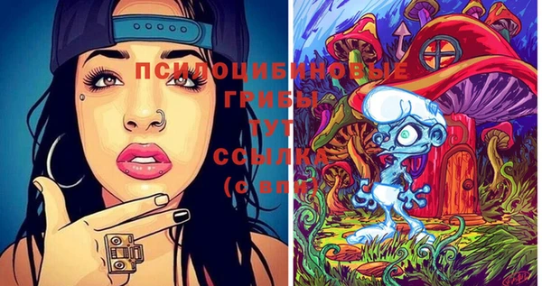 крисы Абинск
