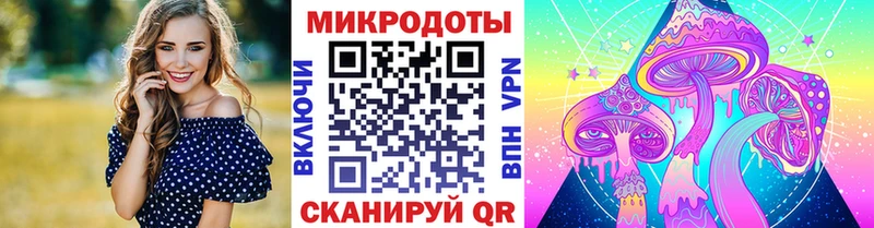 Галлюциногенные грибы Psilocybe  хочу   Тюкалинск 